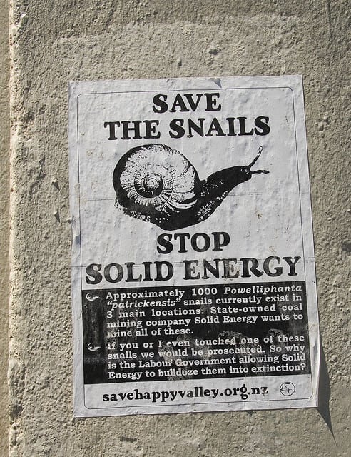 save-the-snails